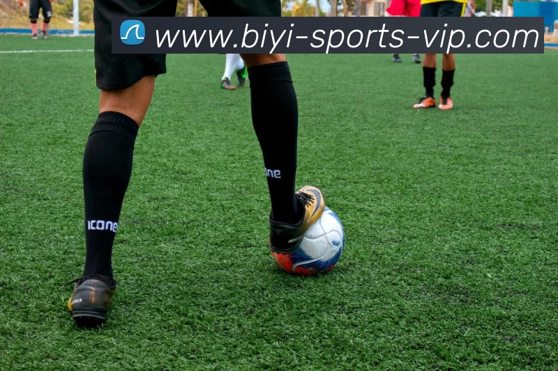 必一运动平台生态图